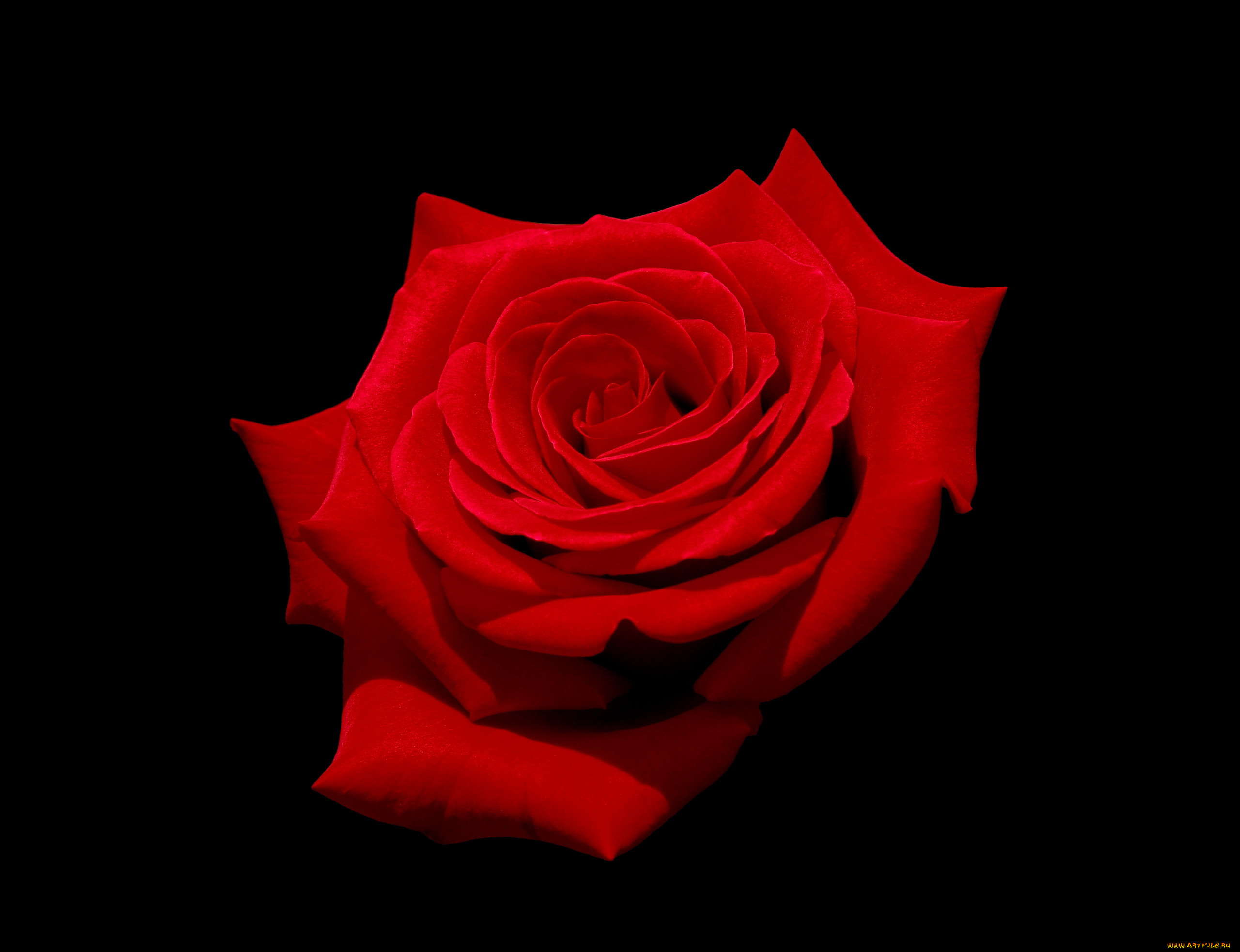 , , , 